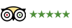 tripadvisor icon with 5 green stars